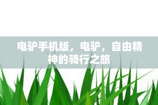 电驴手机版，电驴，自由精神的骑行之旅