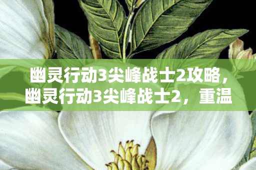 幽灵行动3尖峰战士2攻略,幽灵行动3尖峰战士2,重温经典,探索未来战争 幽灵行动3尖峰战士2攻略,幽灵行动3尖峰战士2,重温经典,探索未来战争
