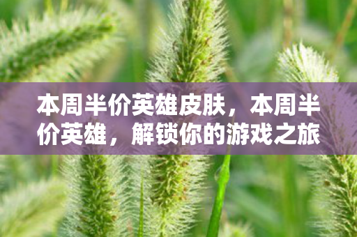 本周半价英雄皮肤,本周半价英雄,解锁你的游戏之旅 本周半价英雄皮肤,本周半价英雄,解锁你的游戏之旅