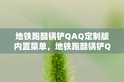 地铁跑酷锅铲QAQ定制版内置菜单，地铁跑酷锅铲QAQ定制版，探索个性化游戏体验的无限可能