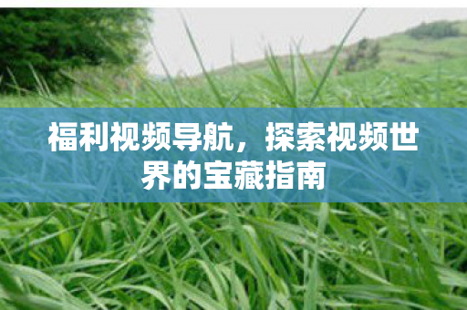 福利视频导航，探索视频世界的宝藏指南