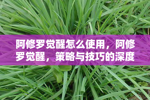 阿修罗觉醒怎么使用，阿修罗觉醒，策略与技巧的深度解析