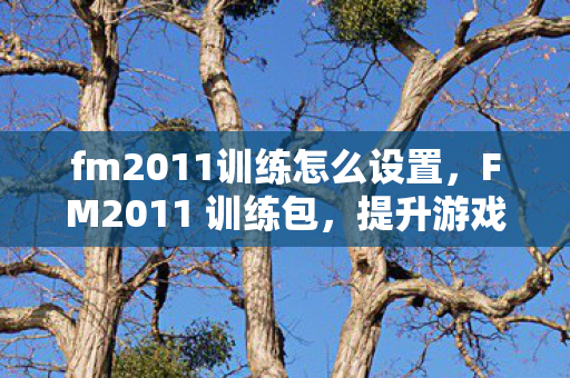 fm2011训练怎么设置，FM2011 训练包，提升游戏技能与策略的关键工具