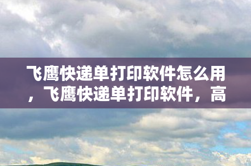 飞鹰快递单打印软件怎么用，飞鹰快递单打印软件，高效便捷，助力企业提升运营效率