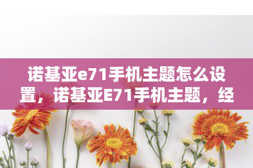 诺基亚e71手机主题怎么设置，诺基亚E71手机主题，经典再现，重塑商务经典