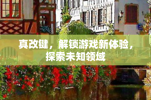 真改键，解锁游戏新体验，探索未知领域