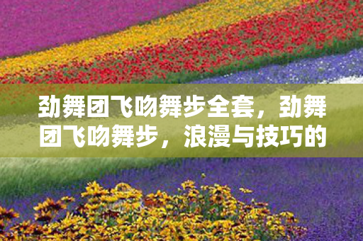 劲舞团飞吻舞步全套，劲舞团飞吻舞步，浪漫与技巧的完美融合