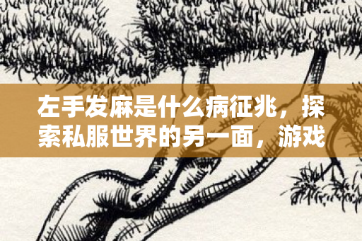 左手发麻是什么病征兆，探索私服世界的另一面，游戏乐趣与社区文化的独特魅力