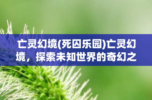 亡灵幻境(死囚乐园)亡灵幻境，探索未知世界的奇幻之旅