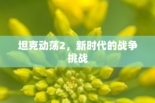 坦克动荡2，新时代的战争挑战