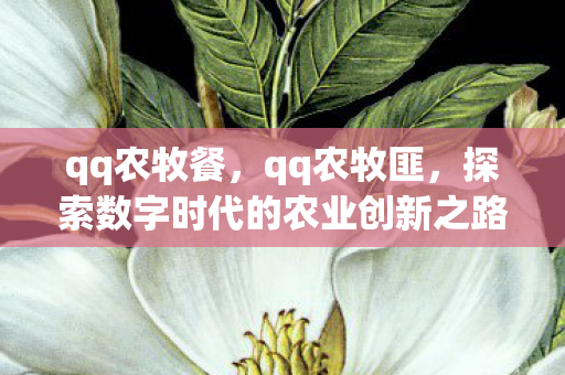 qq农牧餐，qq农牧匪，探索数字时代的农业创新之路