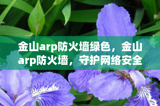 金山arp防火墙绿色，金山arp防火墙，守护网络安全的前沿阵地