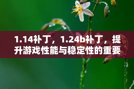 1.14补丁，1.24b补丁，提升游戏性能与稳定性的重要更新