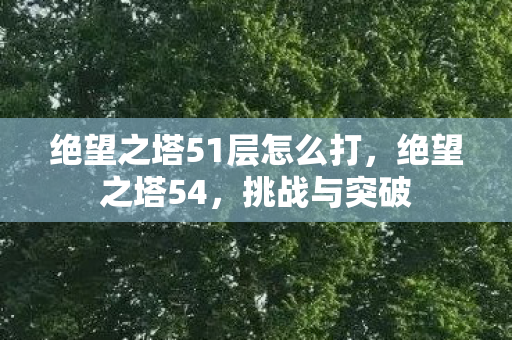 绝望之塔51层怎么打，绝望之塔54，挑战与突破