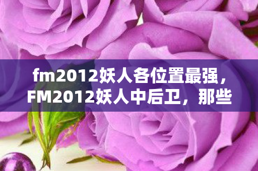 fm2012妖人各位置最强，FM2012妖人中后卫，那些被忽视的防守大师