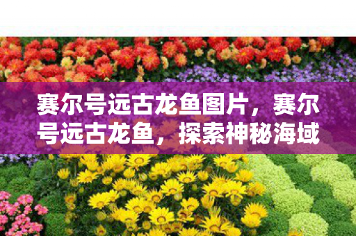赛尔号远古龙鱼图片，赛尔号远古龙鱼，探索神秘海域的远古传说