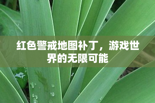 红色警戒地图补丁，游戏世界的无限可能