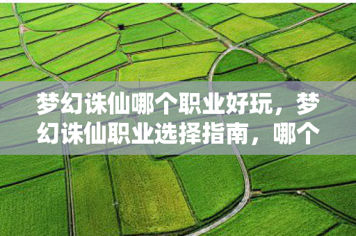 梦幻诛仙哪个职业好玩，梦幻诛仙职业选择指南，哪个职业最适合你？