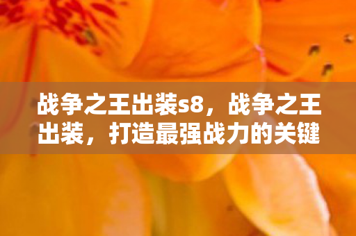 战争之王出装s8，战争之王出装，打造最强战力的关键