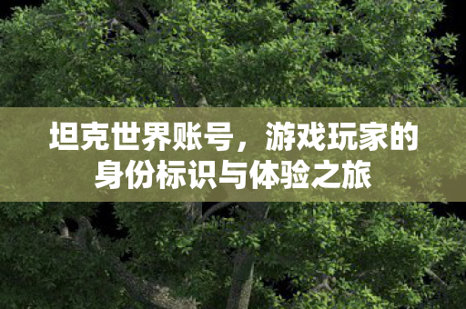 坦克世界账号，游戏玩家的身份标识与体验之旅