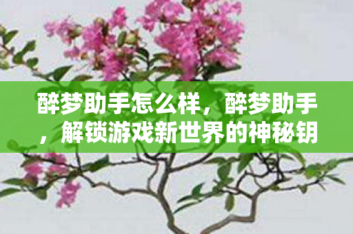 醉梦助手怎么样，醉梦助手，解锁游戏新世界的神秘钥匙