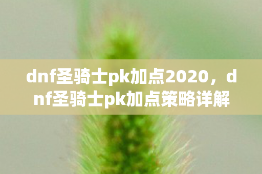 dnf圣骑士pk加点2020，dnf圣骑士pk加点策略详解