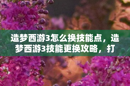 造梦西游3怎么换技能点,造梦西游3技能更换攻略,打造个性化角色 造梦西游3怎么换技能点,造梦西游3技能更换攻略,打造个性化角色