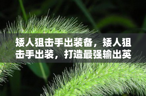 矮人狙击手出装备，矮人狙击手出装，打造最强输出英雄