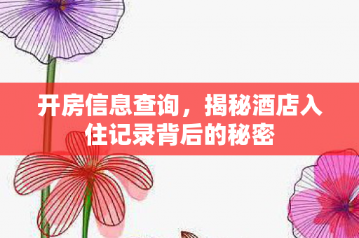 开房信息查询,揭秘酒店入住记录背后的秘密 开房信息查询,揭秘酒店入住记录背后的秘密