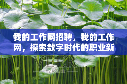 我的工作网招聘，我的工作网，探索数字时代的职业新生态