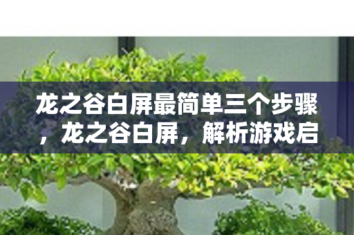 龙之谷白屏最简单三个步骤,龙之谷白屏,解析游戏启动异常现象 龙之谷白屏最简单三个步骤,龙之谷白屏,解析游戏启动异常现象