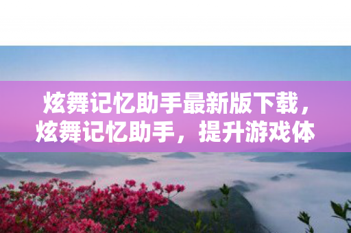 炫舞记忆助手最新版下载，炫舞记忆助手，提升游戏体验的得力助手