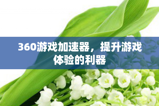 360游戏加速器，提升游戏体验的利器