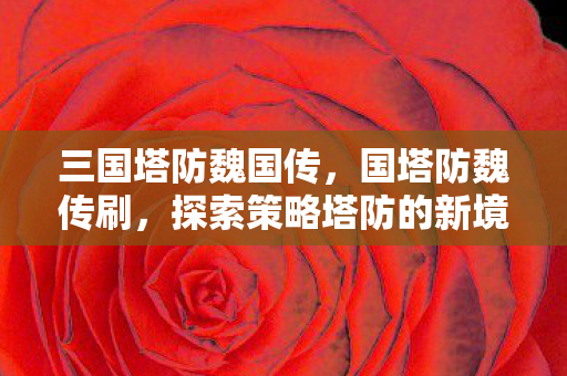 三国塔防魏国传，国塔防魏传刷，探索策略塔防的新境界