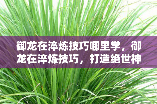 御龙在淬炼技巧哪里学，御龙在淬炼技巧，打造绝世神兵的秘诀