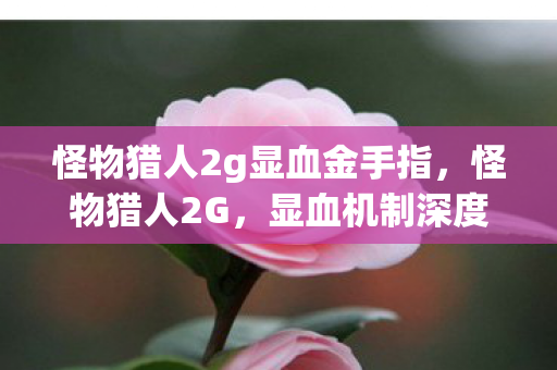 怪物猎人2g显血金手指，怪物猎人2G，显血机制深度解析