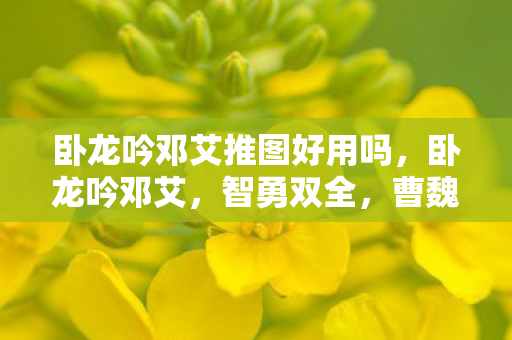 卧龙吟邓艾推图好用吗，卧龙吟邓艾，智勇双全，曹魏的边疆守护者