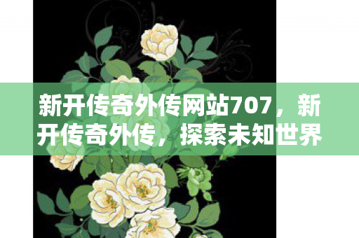 新开传奇外传网站707，新开传奇外传，探索未知世界的奇妙旅程