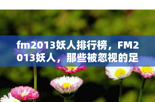 fm2013妖人排行榜，FM2013妖人，那些被忽视的足球天才