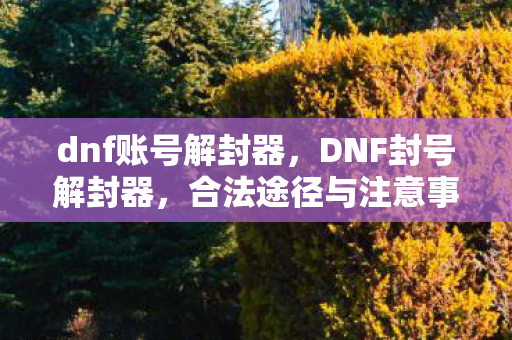 dnf账号解封器，DNF封号解封器，合法途径与注意事项