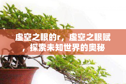 虚空之眼的r，虚空之眼赋，探索未知世界的奥秘