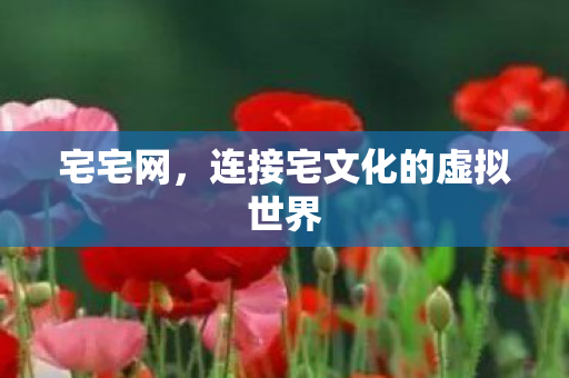 宅宅网，连接宅文化的虚拟世界