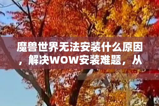 魔兽世界无法安装什么原因，解决WOW安装难题，从配置检查到故障排除