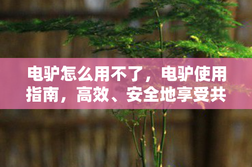 电驴怎么用不了，电驴使用指南，高效、安全地享受共享出行