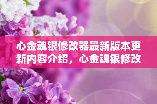 心金魂银修改器最新版本更新内容介绍，心金魂银修改器，解锁游戏新体验，合法合规是关键