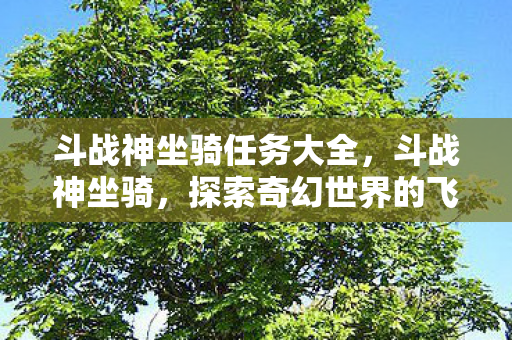 斗战神坐骑任务大全，斗战神坐骑，探索奇幻世界的飞行之旅