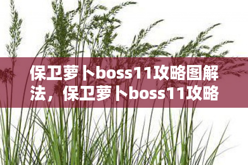 保卫萝卜boss11攻略图解法，保卫萝卜boss11攻略，策略与技巧的全面解析