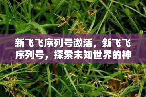 新飞飞序列号激活，新飞飞序列号，探索未知世界的神秘钥匙