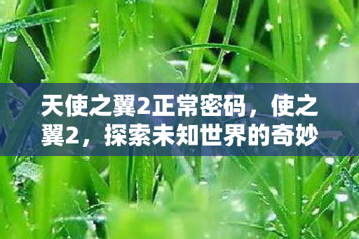天使之翼2正常密码，使之翼2，探索未知世界的奇妙之旅