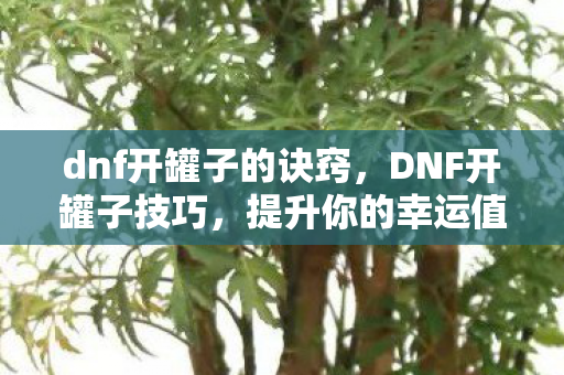 dnf开罐子的诀窍，DNF开罐子技巧，提升你的幸运值